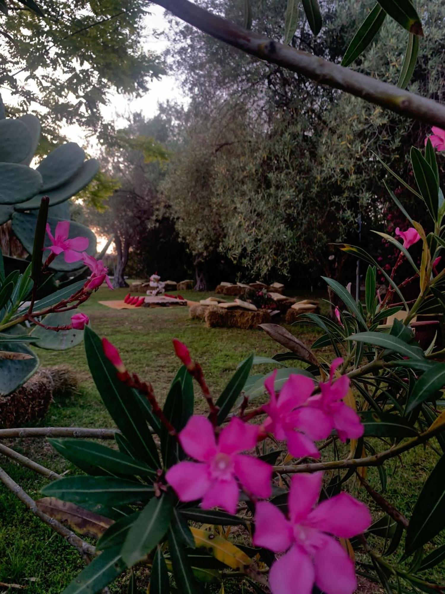 Valle Di Mare Country Resort Fontane Bianche Kültér fotó