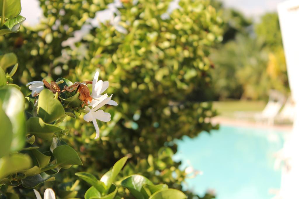 Valle Di Mare Country Resort Fontane Bianche Kültér fotó